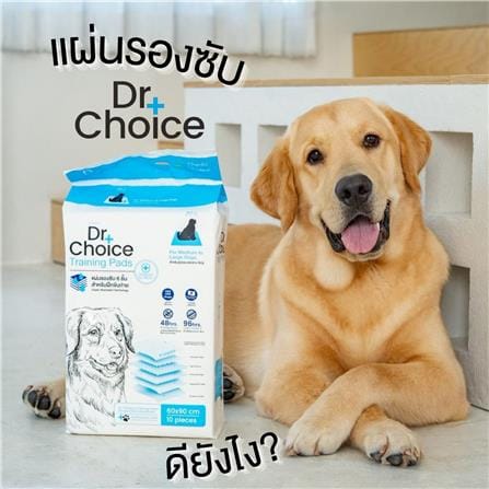 แผ่นรองซับ DR.CHOICE SIZE M 45x60 ซม. (แพ็ก 10 ชิ้น)_1