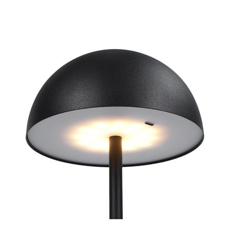 ไฟตั้งโต๊ะ LED CARINI TCW25504-BK 1.2 วัตต์ WARM WHITE สีดำ_1