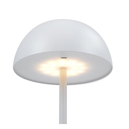 ไฟตั้งโต๊ะ LED CARINI TCW25504-WH 1.2 วัตต์ WARM WHITE สีขาว_1