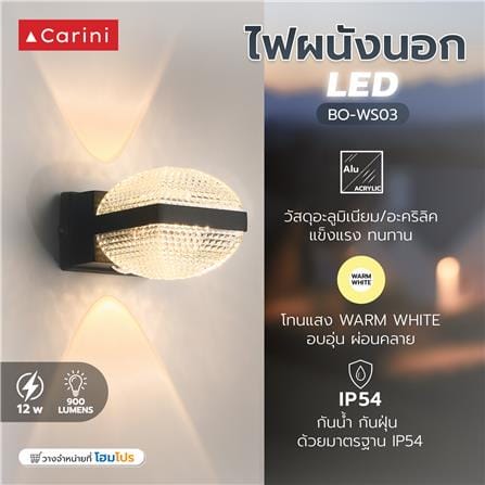 ไฟผนังภายนอก LED CARINI BO-WS03 12 วัตต์ WARM WHITE สีดำ_8