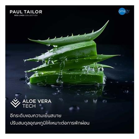 ปลอกผ้านวม OMAZZ PAUL TAILOR 70x90 นิ้ว PACIFIC_5
