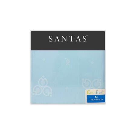 ชุดผ้าปูที่นอน 5 ฟุต (ชุด 5 ชิ้น) SANTAS TEXIMA MOIRA BL_4