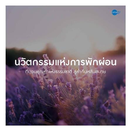 ที่นอนพ็อกเก็ตสปริง 5 ฟุต OMAZZ รุ่น FINCHLEY พร้อมชุดเครื่องนอน 8 ชิ้น_13