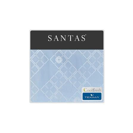 ชุดผ้าปูที่นอน 6 ฟุต (ชุด 5 ชิ้น) SANTAS TEXIMA NEOVATE BL_5