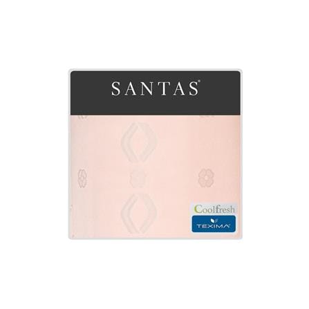 ชุดผ้าปูที่นอน 6 ฟุต (ชุด 5 ชิ้น) SANTAS TEXIMA PEONIA OS_5