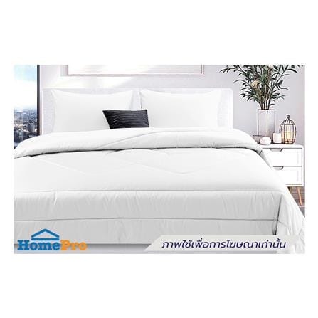 ชุดผ้าปูที่นอน 6 ฟุต (ชุด 6 ชิ้น) STEVENS PURE COTTON AL30_0