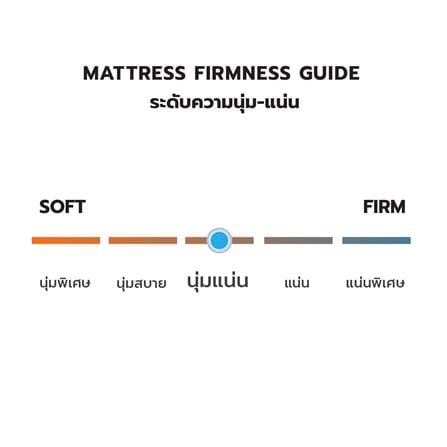 ที่นอนสปริง 3.5 ฟุต DREAM TREE รุ่น LUCKY DREAM_4