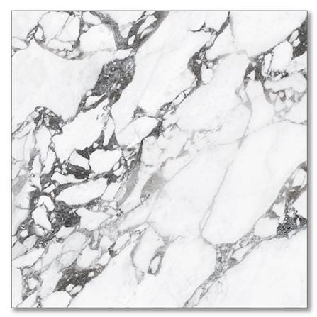 กระเบื้องพื้นพอร์ซเลน 60X60 ซม. TARA แพนดี้ ขาว A 1.44 ตร.ม._1