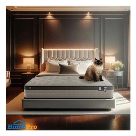 ที่นอนสปริง 5 ฟุต SLUMBERLAND รุ่น PAWLY_5