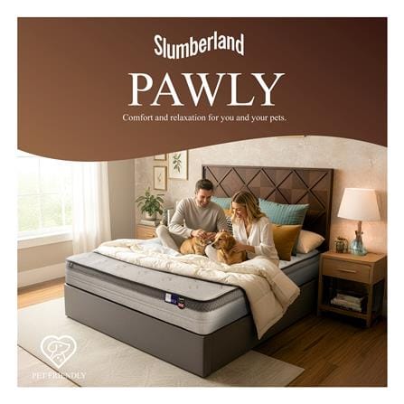 ที่นอนสปริง 6 ฟุต SLUMBERLAND รุ่น PAWLY_6