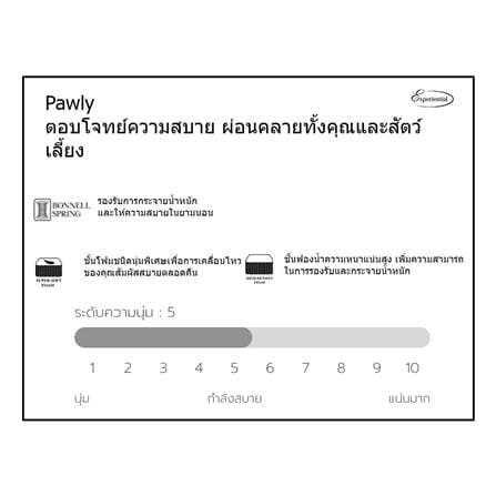 ที่นอนสปริง 6 ฟุต SLUMBERLAND รุ่น PAWLY_8
