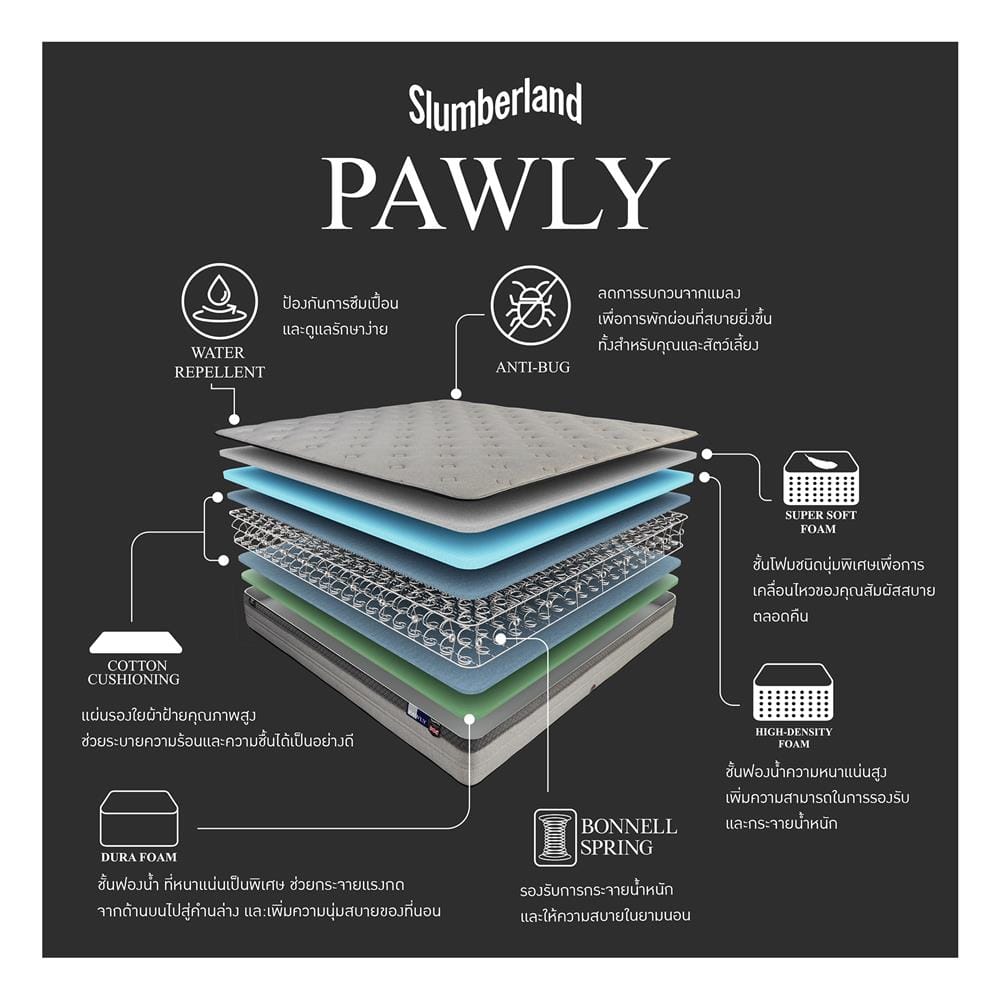 ที่นอนสปริง 3.5 ฟุต SLUMBERLAND รุ่น PAWLY
