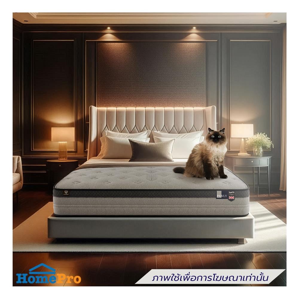 ที่นอนสปริง 3.5 ฟุต SLUMBERLAND รุ่น PAWLY