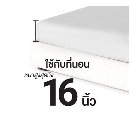 ชุดผ้าปูที่นอน 3.5 ฟุต (ชุด 4 ชิ้น) FROLINA CAEROLA CBDF012_10