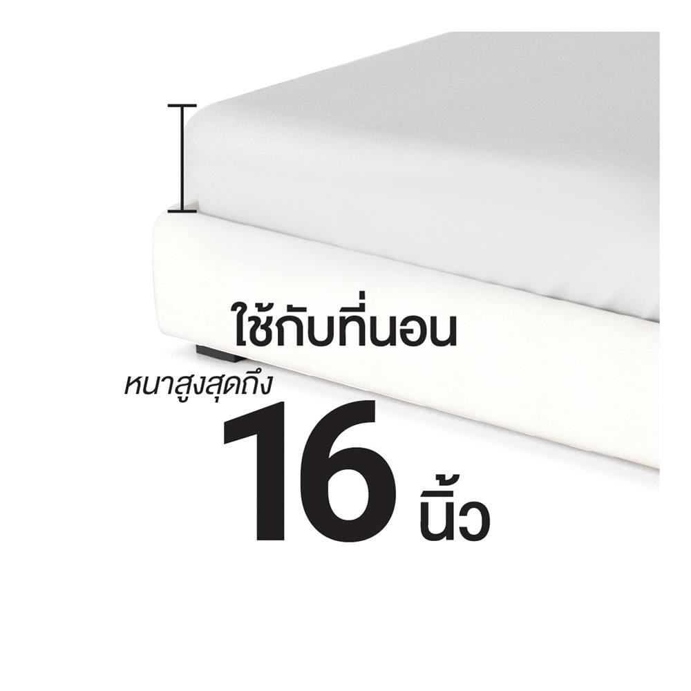 ชุดผ้าปูที่นอน 6 ฟุต (ชุด 6 ชิ้น) FROLINA CALMIRA CBDF010