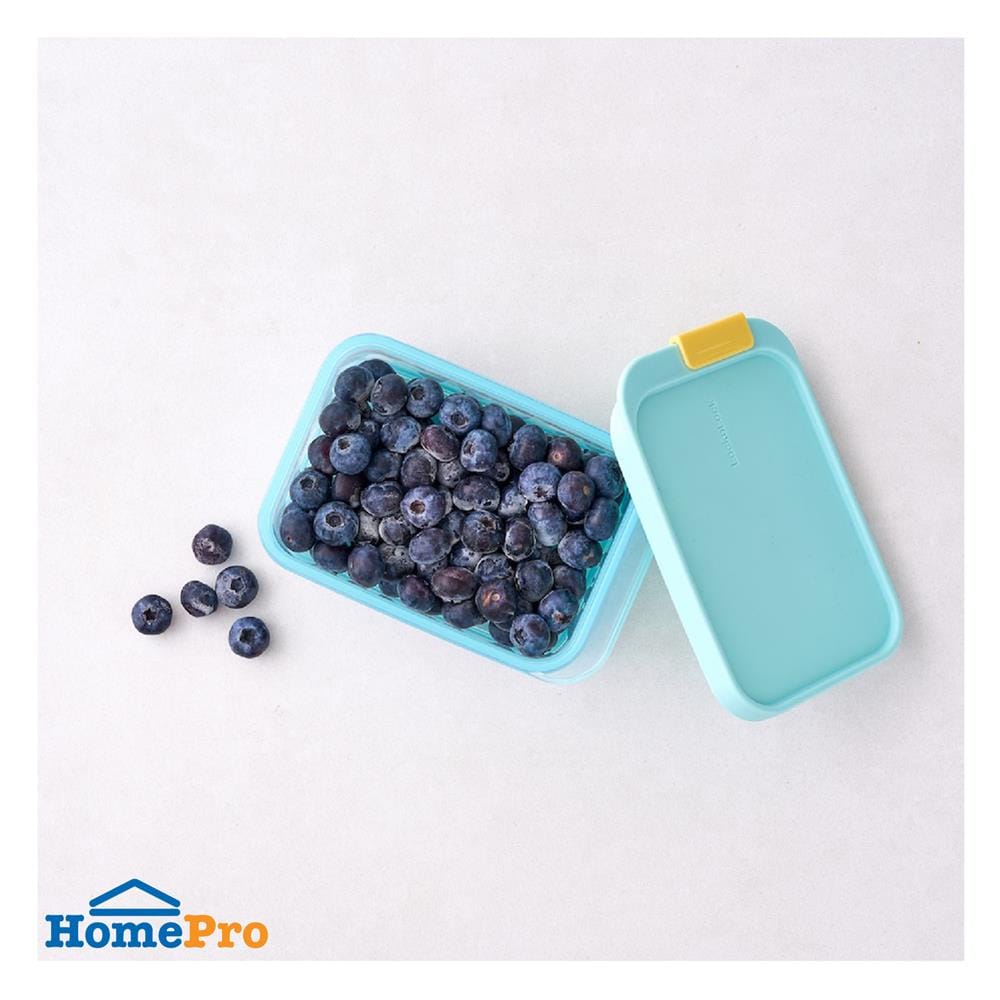 กล่องอาหาร 0.45 ลิตร LOCKNLOCK FREEZER FIT สีฟ้า
