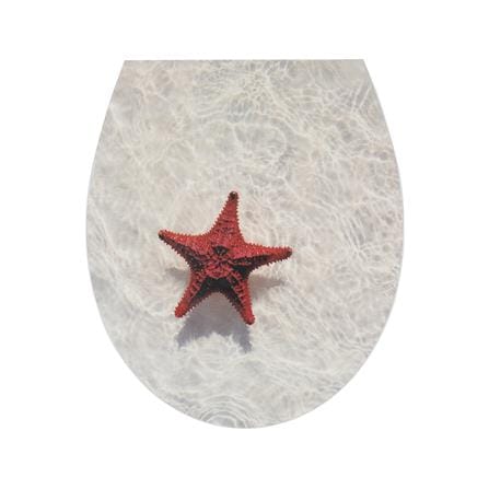 ฝารองนั่ง MOYA DUROPLAST HY-UF87-PET-4105 SEA_2