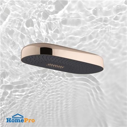 ฝักบัวก้านแข็ง เฉพาะหัว KOHLER K-26297T-RGD_1