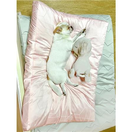 เบาะสุนัข พร้อมปลอก BED CARE FOR PET WR MINI ริ้วชมพู_1
