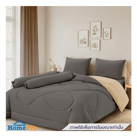 ผ้านวม FROLINA MICROTEX 60x80 นิ้ว SF037_3