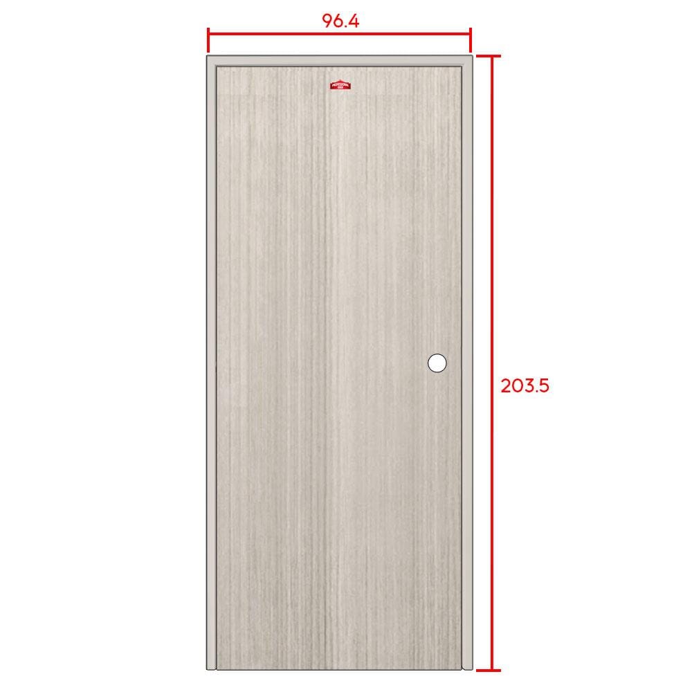 ชุดประตูภายในเหล็ก เจาะลูกบิด PROFESSIONAL DOOR FR2LG+D241 96.4x203.5 ซม. สีเทา (เปิดด้านซ้าย ออกด้านนอก)