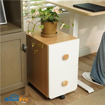 ตู้ลิ้นชัก 2 ลิ้นชัก FURDINI MARU สี NT OAK/ขาว_10
