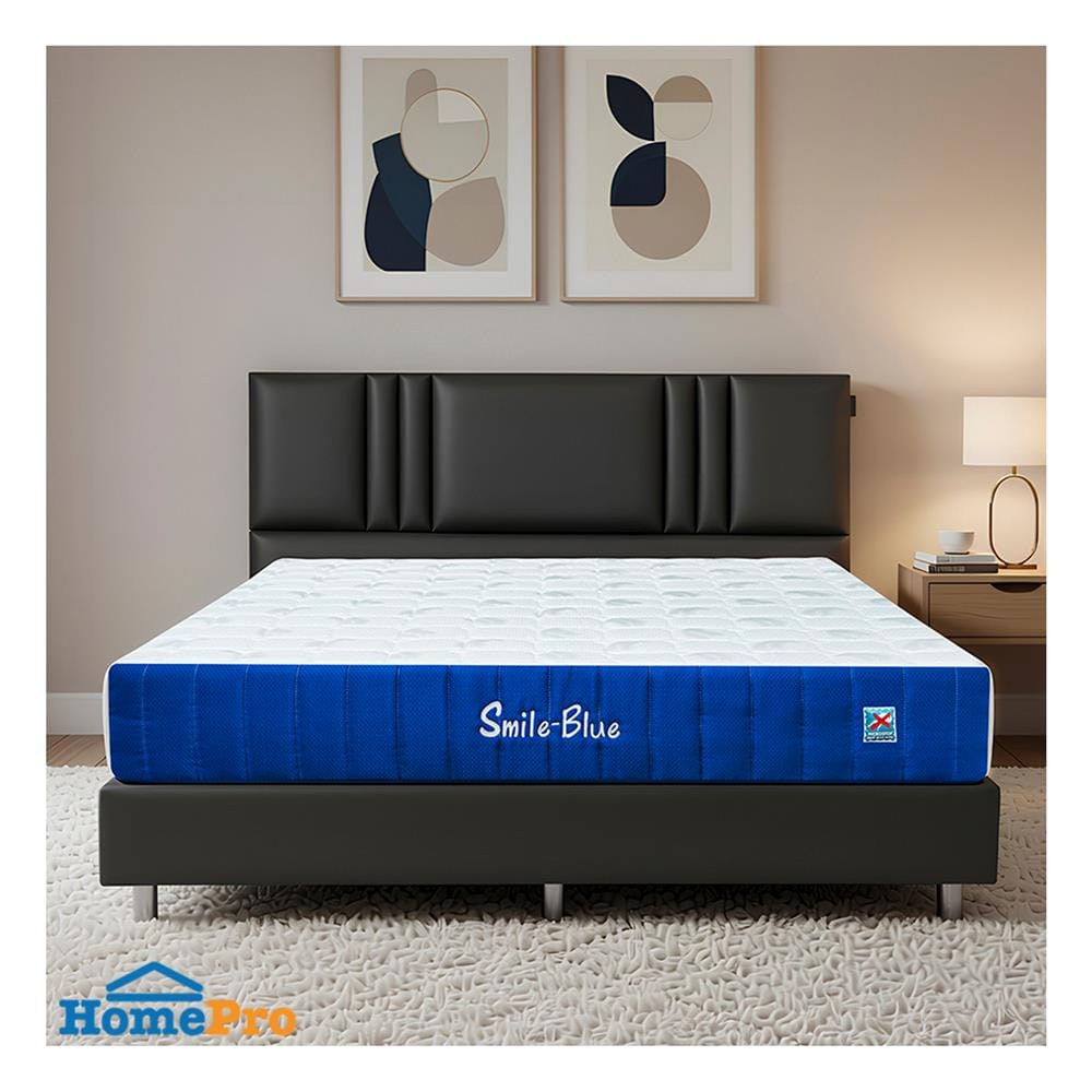 ที่นอนพ็อกเก็ตสปริง 6 ฟุต PICASSO COMFORT รุ่น SMILE BLUE