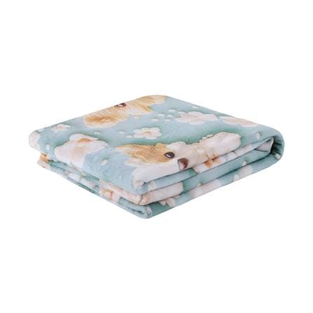 ผ้าห่ม SNAZZ 3D KORO 50X60 นิ้ว สี GREEN_0
