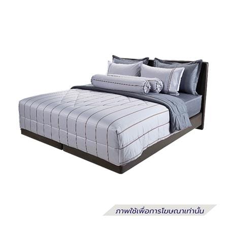 ชุดผ้าปูที่นอน 5 ฟุต (ชุด 6 ชิ้น) SANTAS COTTON USA REVEAL GR_1