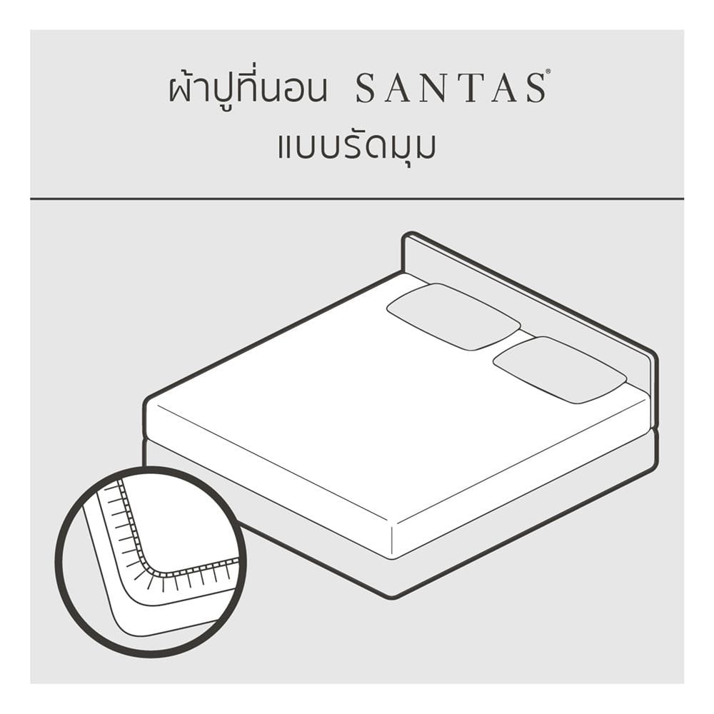 ชุดผ้าปูที่นอน 6 ฟุต (ชุด 6 ชิ้น) SANTAS COTTON USA REVEAL GR