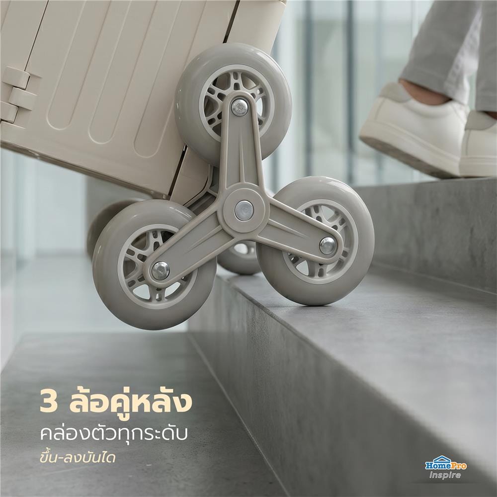 รถเข็นกล่องพับได้ MATALL DY2522 30 กก. สีเบจ