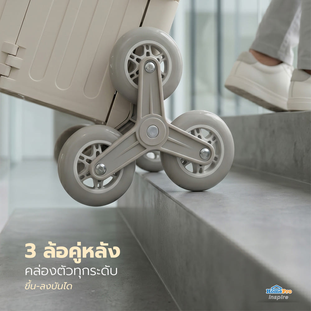 รถเข็นกล่องพับได้ MATALL DY2522 30 กก. สีเบจ