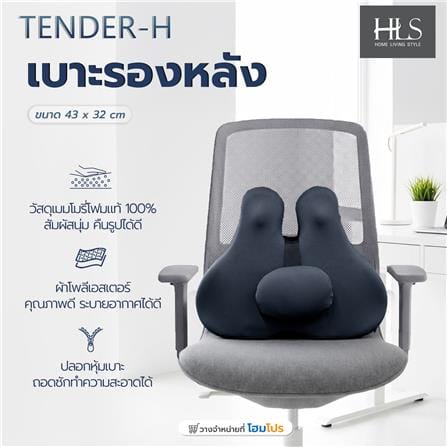 เบาะรองหลัง HOME LIVING STYLE TENDER-H 16.5x12 นิ้ว สีน้ำเงิน_9