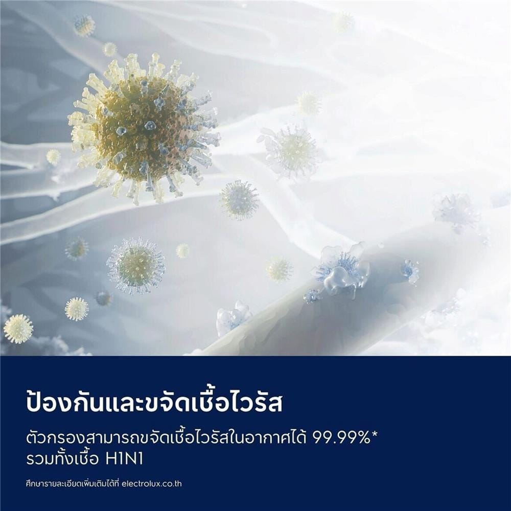 แผ่นกรองเครื่องฟอก ELECTROLUX EFFPET4
