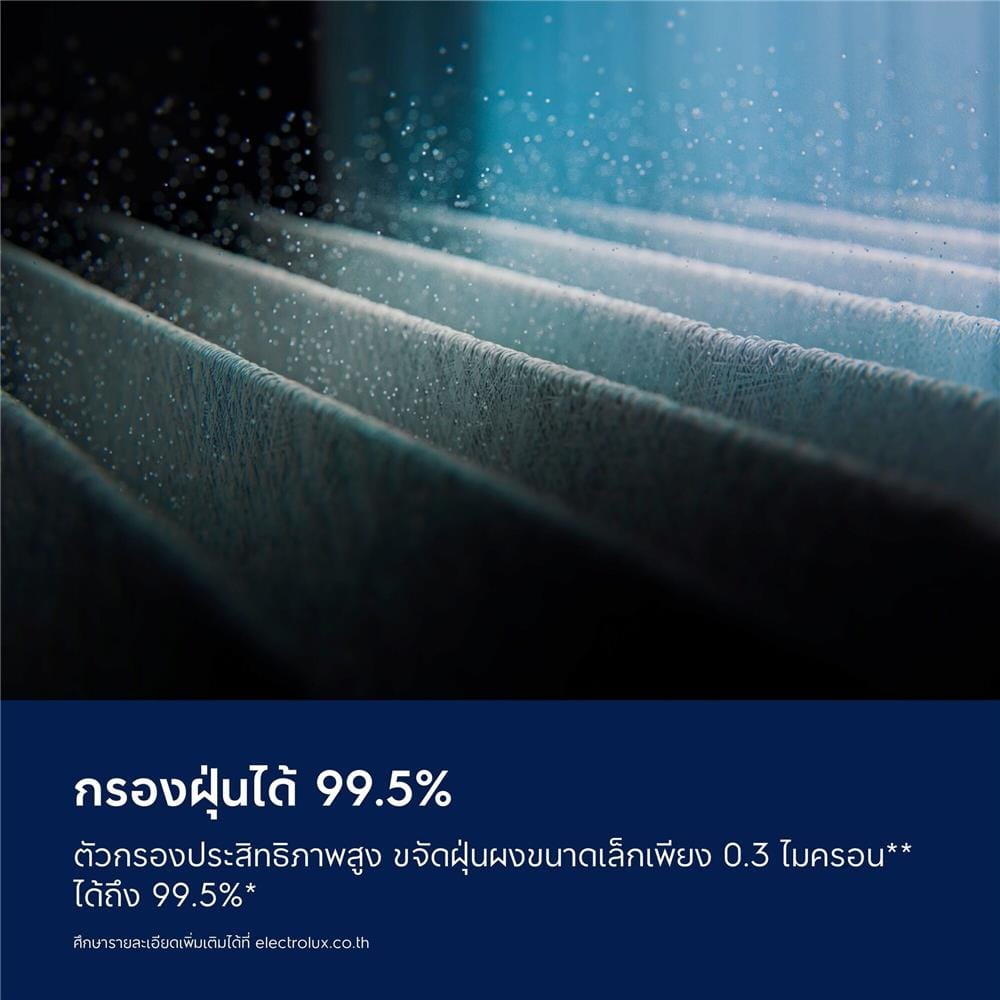แผ่นกรองเครื่องฟอก ELECTROLUX EFFPET4