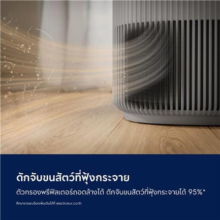 แผ่นกรองเครื่องฟอก ELECTROLUX EFFPET4_8