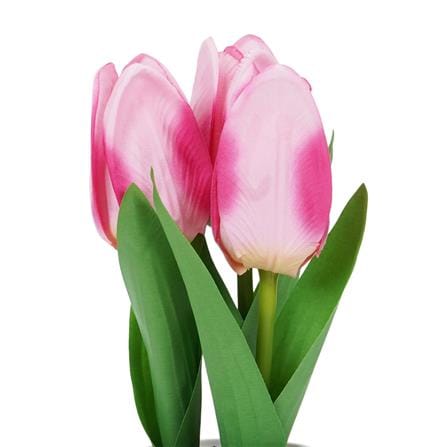 ดอกทิวลิปสีชมพู SPRING 23 ซม._1
