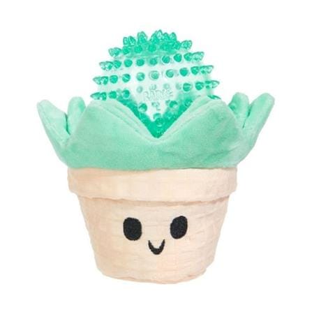 ของเล่นสุนัขรูปต้นไม้จิ๋ว 2 IN 1 BARK SUKI SUCCULENT_0