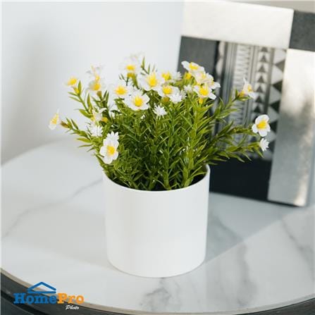 ดอกไม้ประดิษฐ์สีขาว SPRING 20 ซม._3