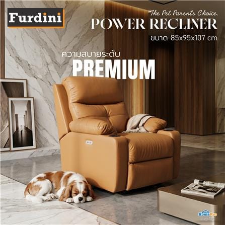 เก้าอี้ปรับนอนไฟฟ้า FURDINI COMPLETE/PET FRIENDLY สีน้ำตาล_4