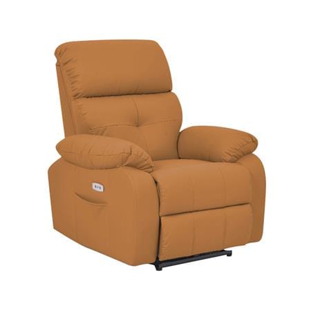 เก้าอี้ปรับนอนไฟฟ้า FURDINI CHARLIE/PET FRIENDLY สีน้ำตาล_0