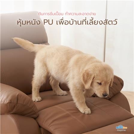 เก้าอี้ปรับนอนไฟฟ้า FURDINI CHARLIE/PET FRIENDLY สีน้ำตาลเข้ม_7