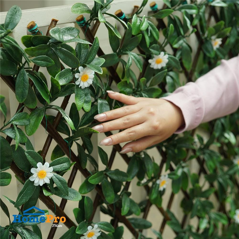 รั้วไม้อเนกประสงค์ ยืด-หด SPRING DAISY 200x100 ซม.