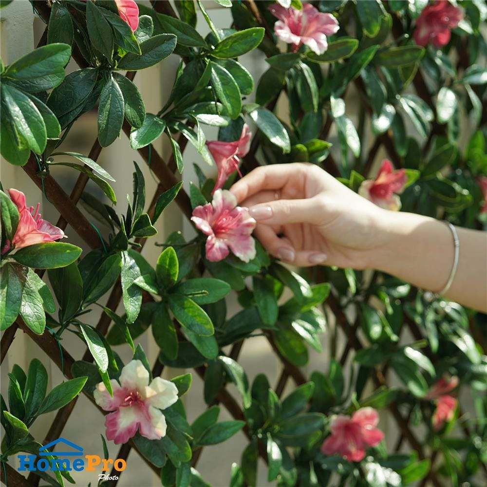 รั้วไม้อเนกประสงค์ ยืด-หด SPRING FLOWER 200x100 ซม.