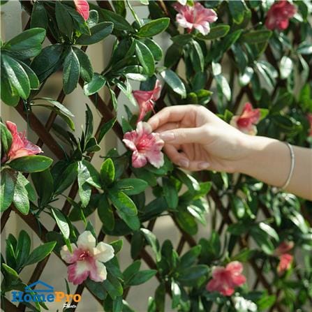 รั้วไม้อเนกประสงค์ ยืด-หด SPRING FLOWER 200x100 ซม._6