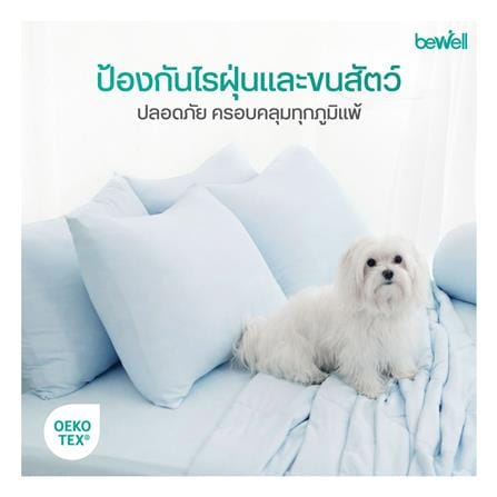 ปลอกหมอนหนุน BEWELL COOLING สี BLUE_5