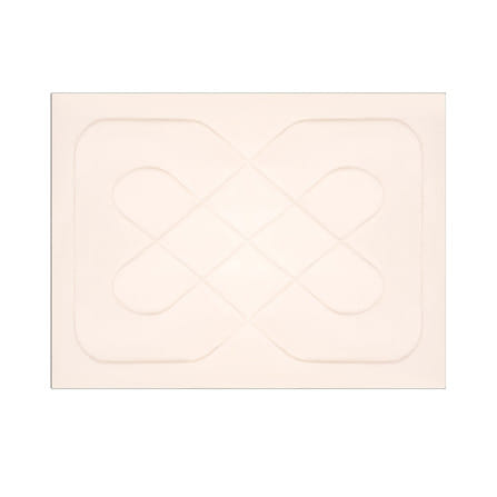 ผ้าห่ม HOME LIVING STYLE ANDES 70x90 นิ้ว สี PINK_4