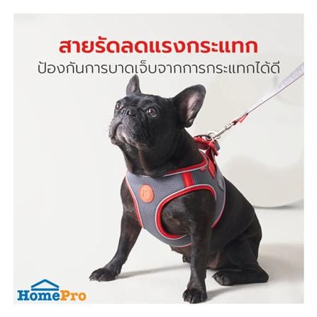 สายจูง PETSTAR PSRY0071 SIZE M สีเทา_1