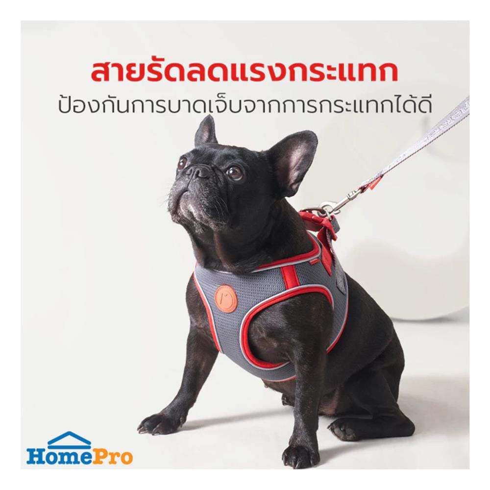 สายจูง PETSTAR PSRY0071 SIZE S สีเทา
