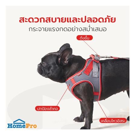 สายจูง PETSTAR PSRY0071 SIZE S สีเทา_2